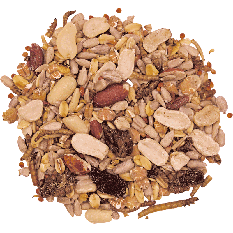 Wild bird feed, fine-beak, hulled