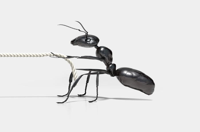 3D-Simulation