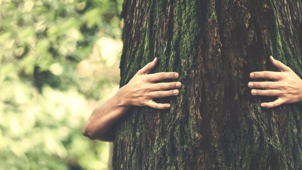 Sorge für Mensch und Umwelt