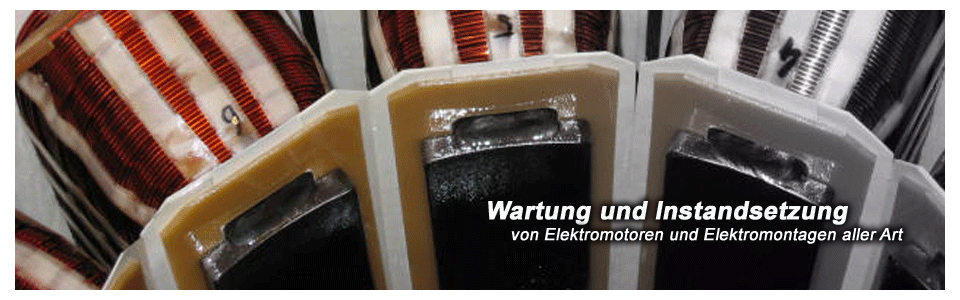 Drehstrommotor (Überholung/Neuwicklung)