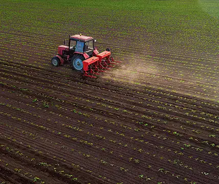 Bildverarbeitung für Food & Agriculture