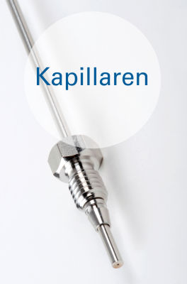 Kapillaren
