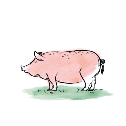 Landwirte als Lieferpartner