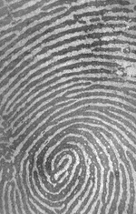 NAOS Fingerabdruck-Abbildung