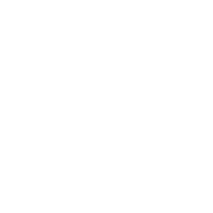 Elektromobilität