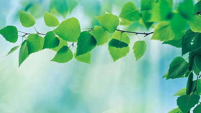 Green Automation – effiziente elektrische Automatisierungstechnik