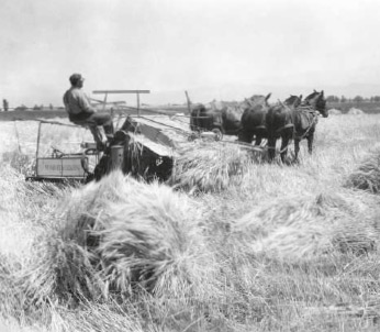 1934 – Beginn der Geschäftsbeziehung zu International Harvester