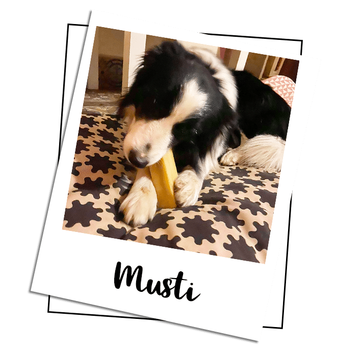 Produktbild Cheese Bone
