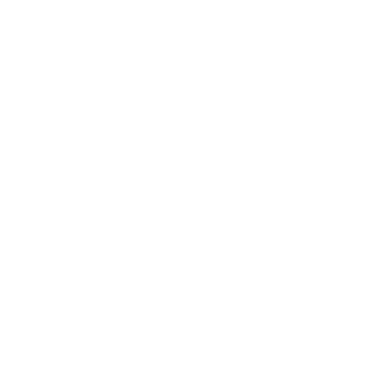Course of the collaboration