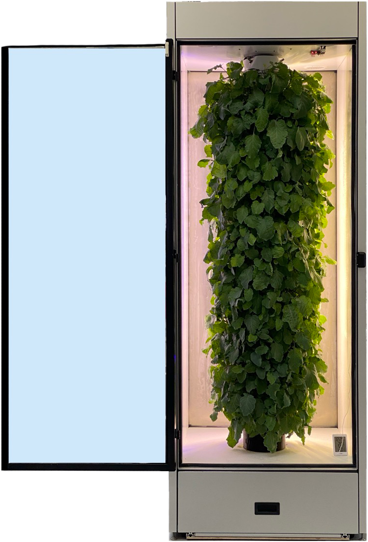 Model S – Kultivierungsplattform