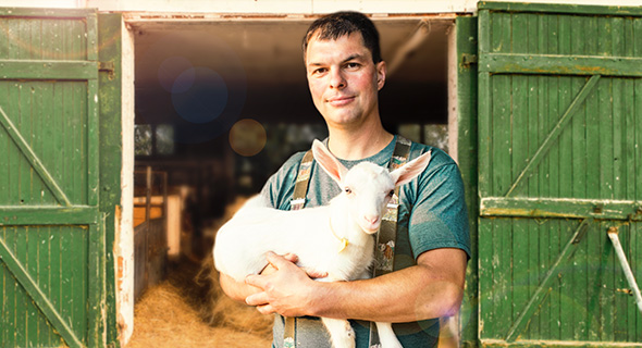 Goat's milk suppliers
