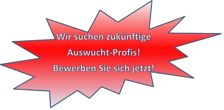 Workshop of the balancing professionals