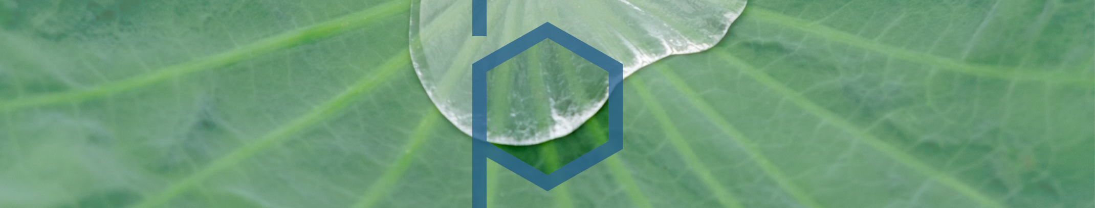 Funktionalisierte Oberflächen: Anti-Fingerprint, Anti-Bakteriell, Easy-to-Clean, dekorative Finishes