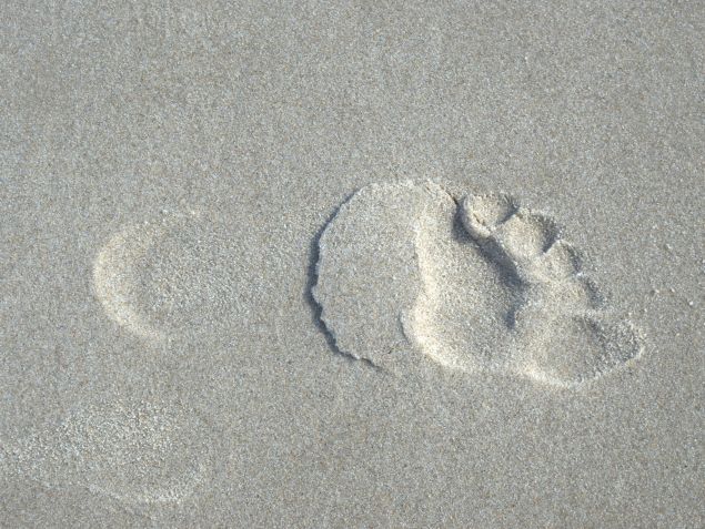 Shoe sole