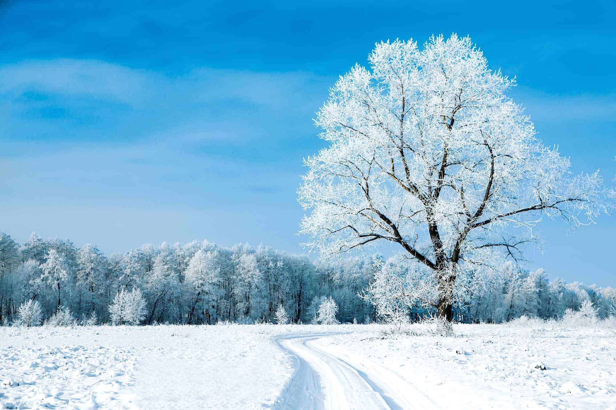 Einsatz bei Schnee und Glatteis