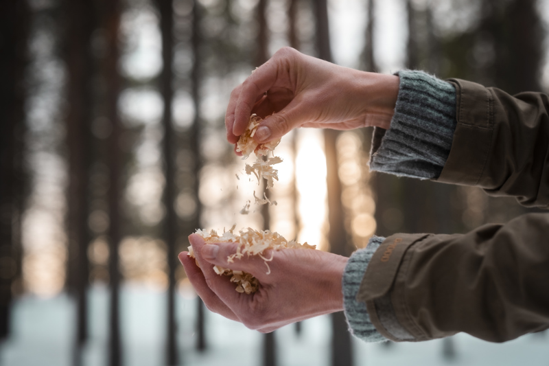 Forstreststoffe als erneuerbarer Feedstock