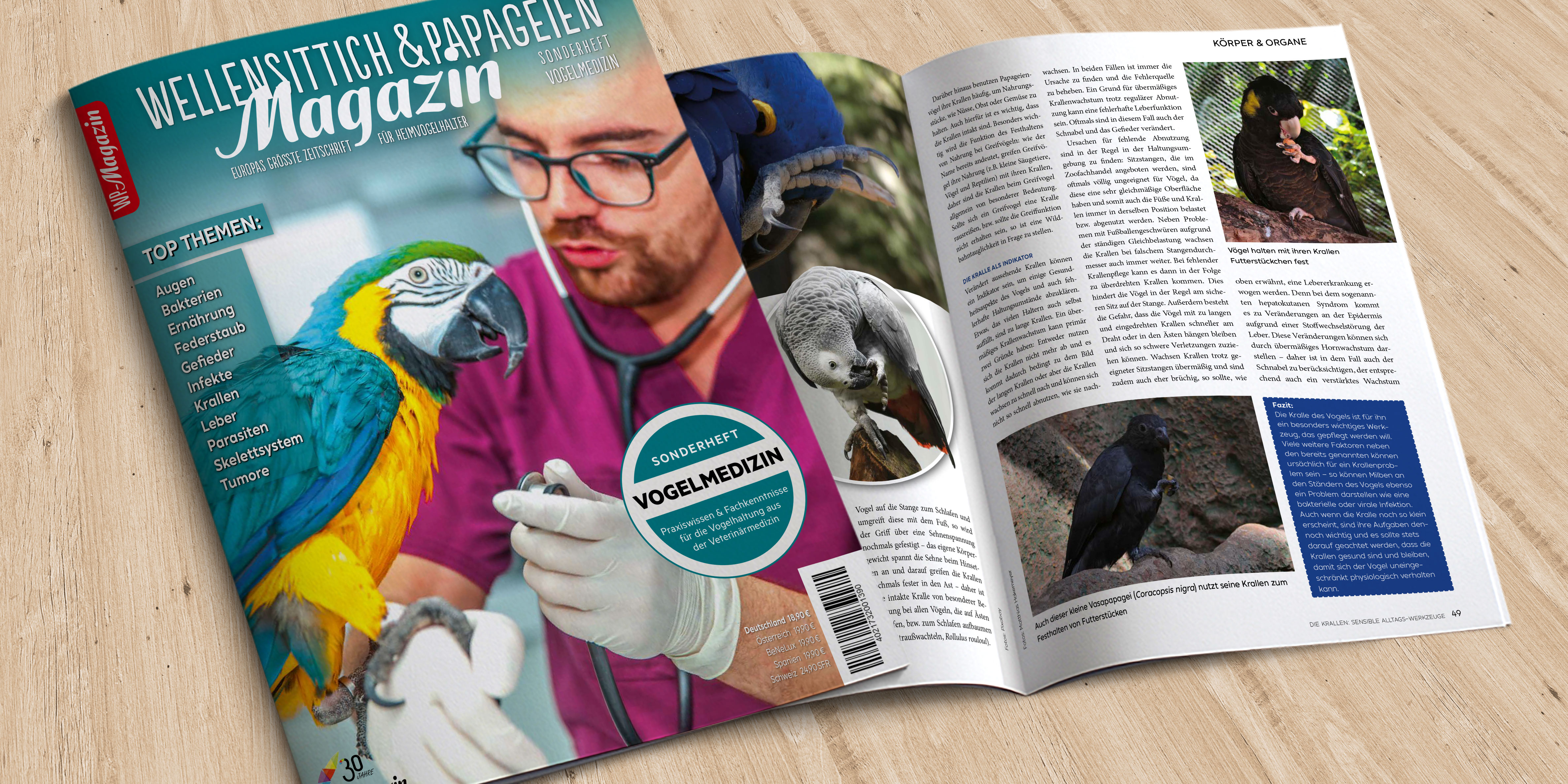 WP-Magazin Homepage-Vorschau