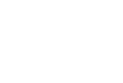 Leistungsspektrum von Seynstahl