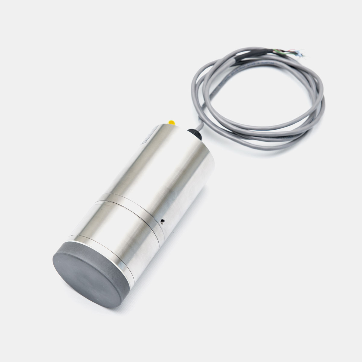 FL-WAPP ATEX Sensor