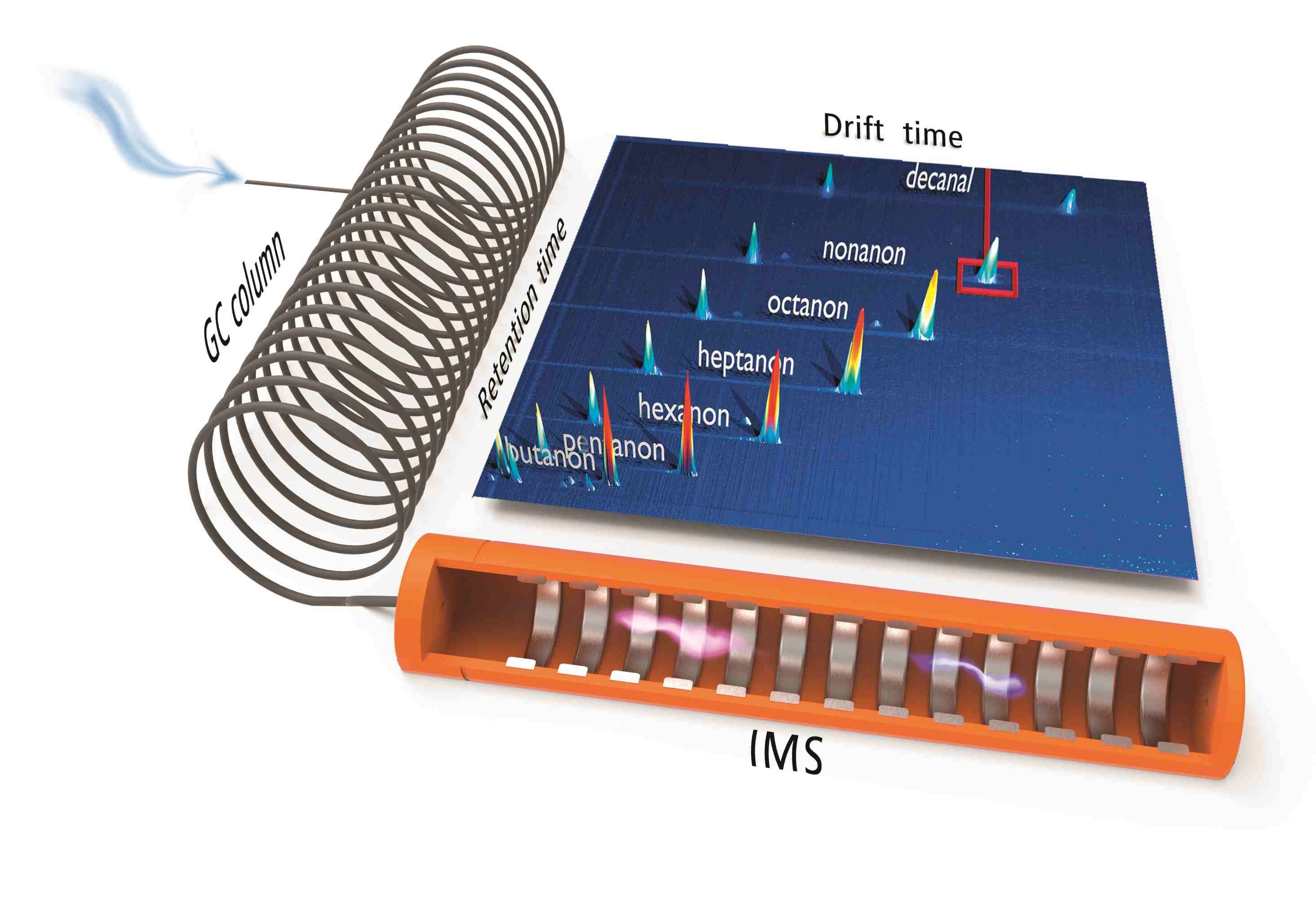 GC-IMS Analysensystem (FlavourSpec)