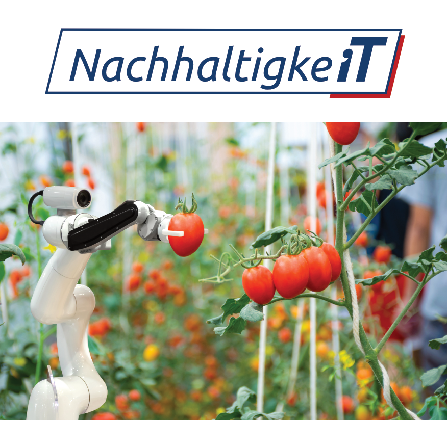 Nachhaltigkeit bei der ITgroup