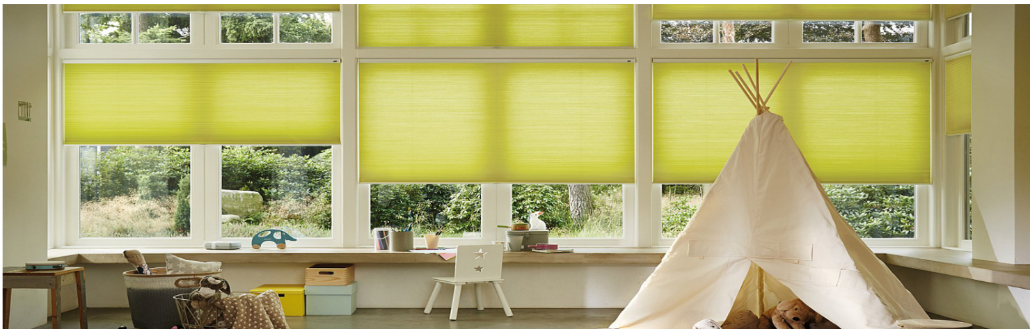 Duette pleated blind