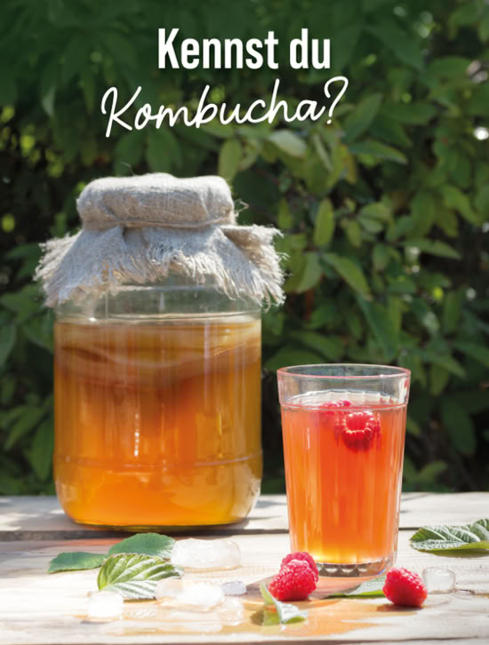 Kombucha aus der Familienmanufaktur