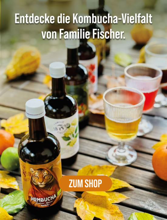 Kombucha-Sorte der Fischer Manufaktur