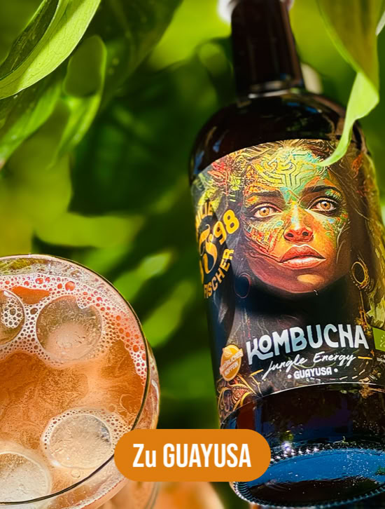 Kombucha Guayusa