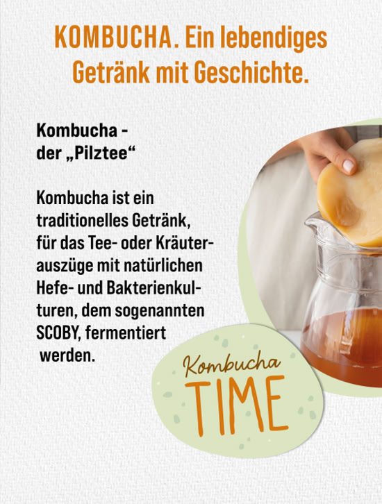 Kombucha-Sorte der Fischer Manufaktur