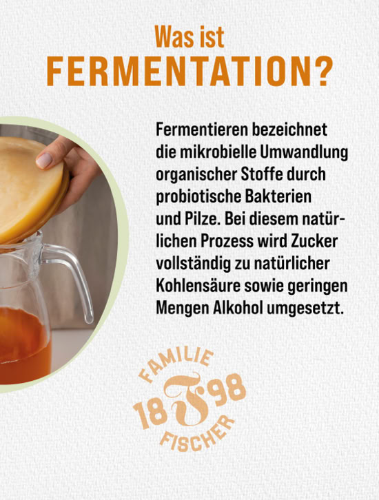 Kombucha-Sorte der Fischer Manufaktur