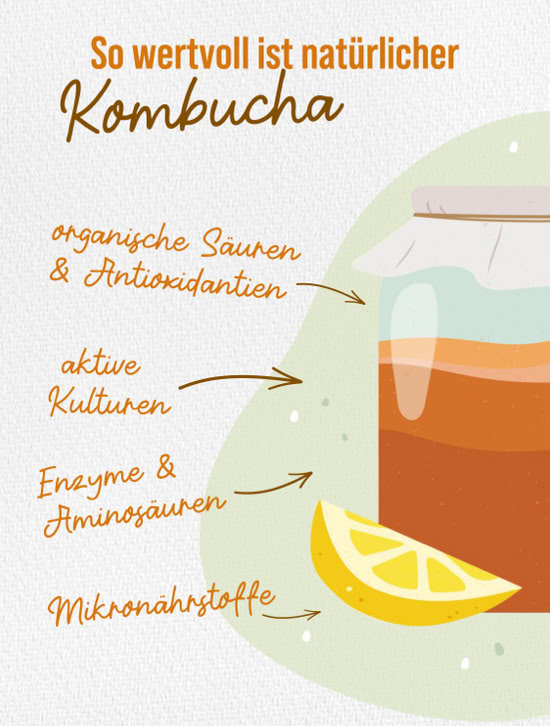 Kombucha-Sorte der Fischer Manufaktur
