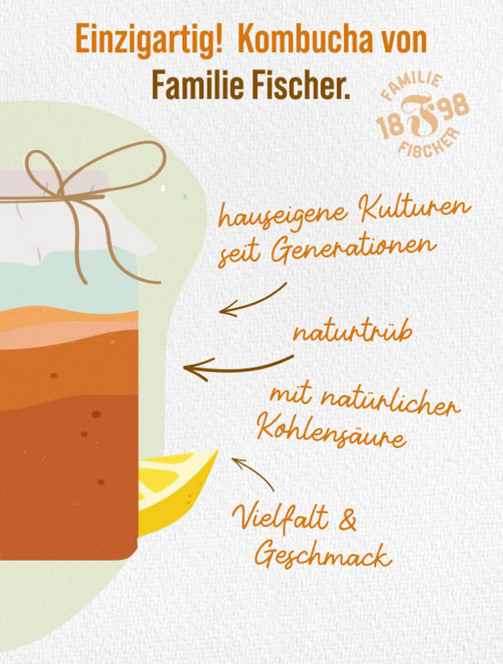Kombucha-Sorte der Fischer Manufaktur
