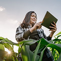 Agri-PV: Landwirtschaftliche Nutzung unter Solarmodulen