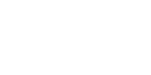 IVS Notstrom Logo