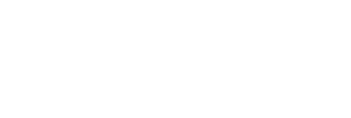 Elcan Logo