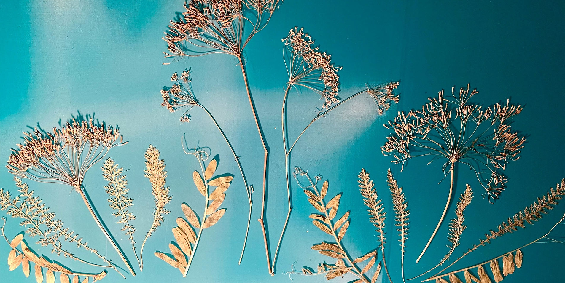 Siebbelichtung im Atelier