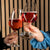 Magnet-Kristallglas WEIN