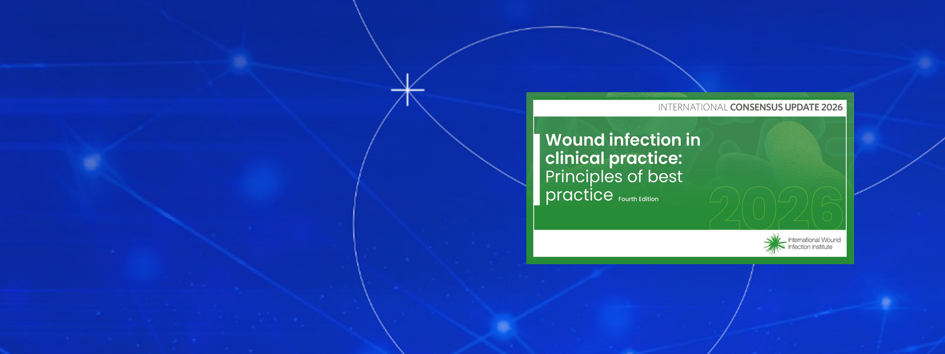 Wound Infection in Clinical Practice