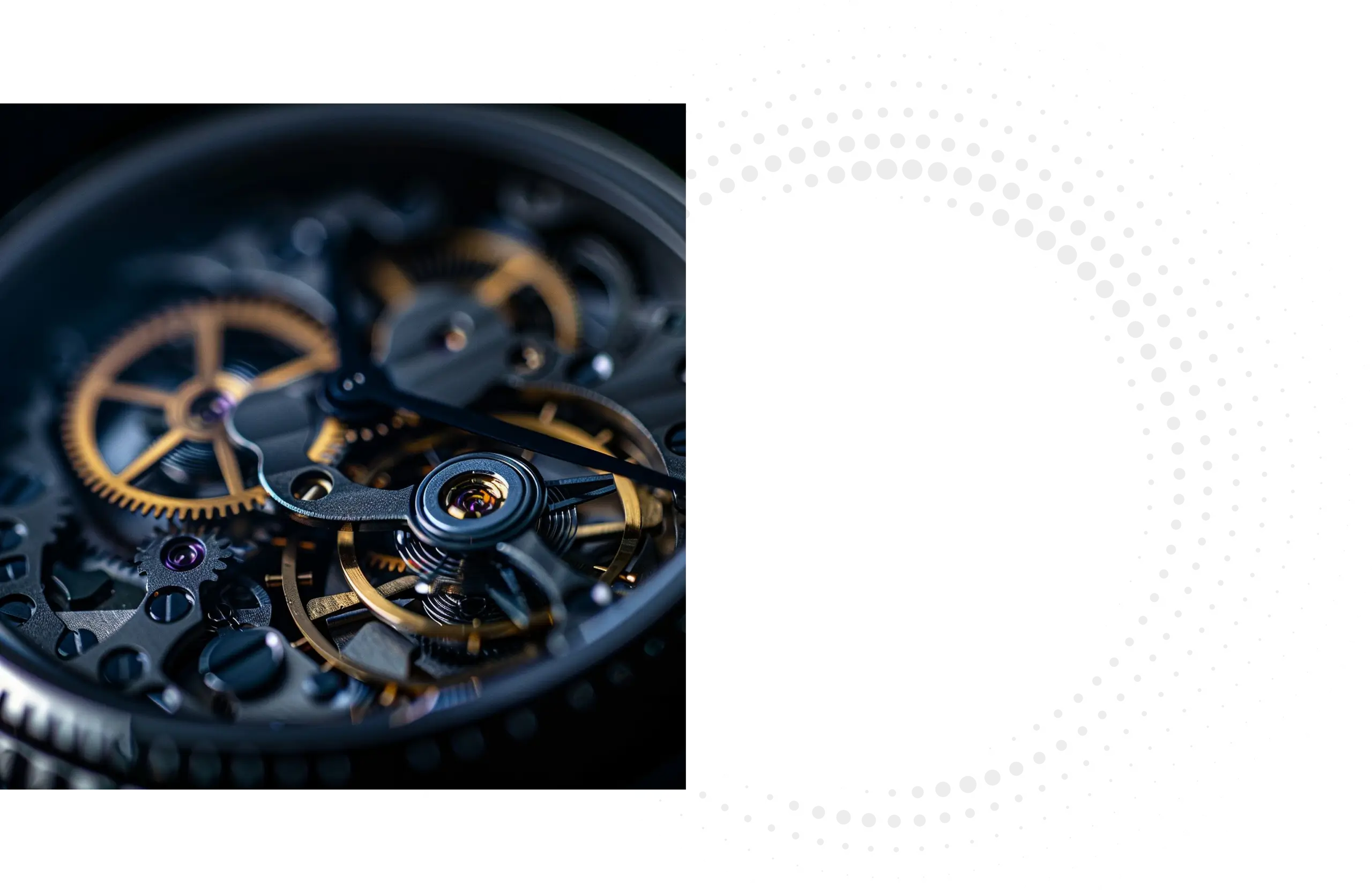 Quality Systems – Dienstleistungsspektrum