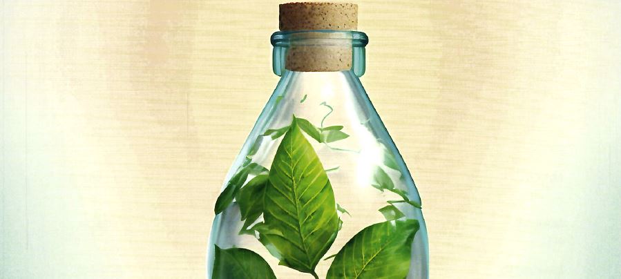 Anwendungsbeispiel Flasche