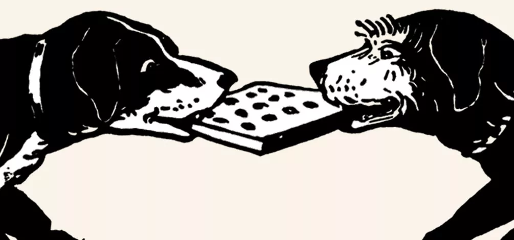 Hundekuchen