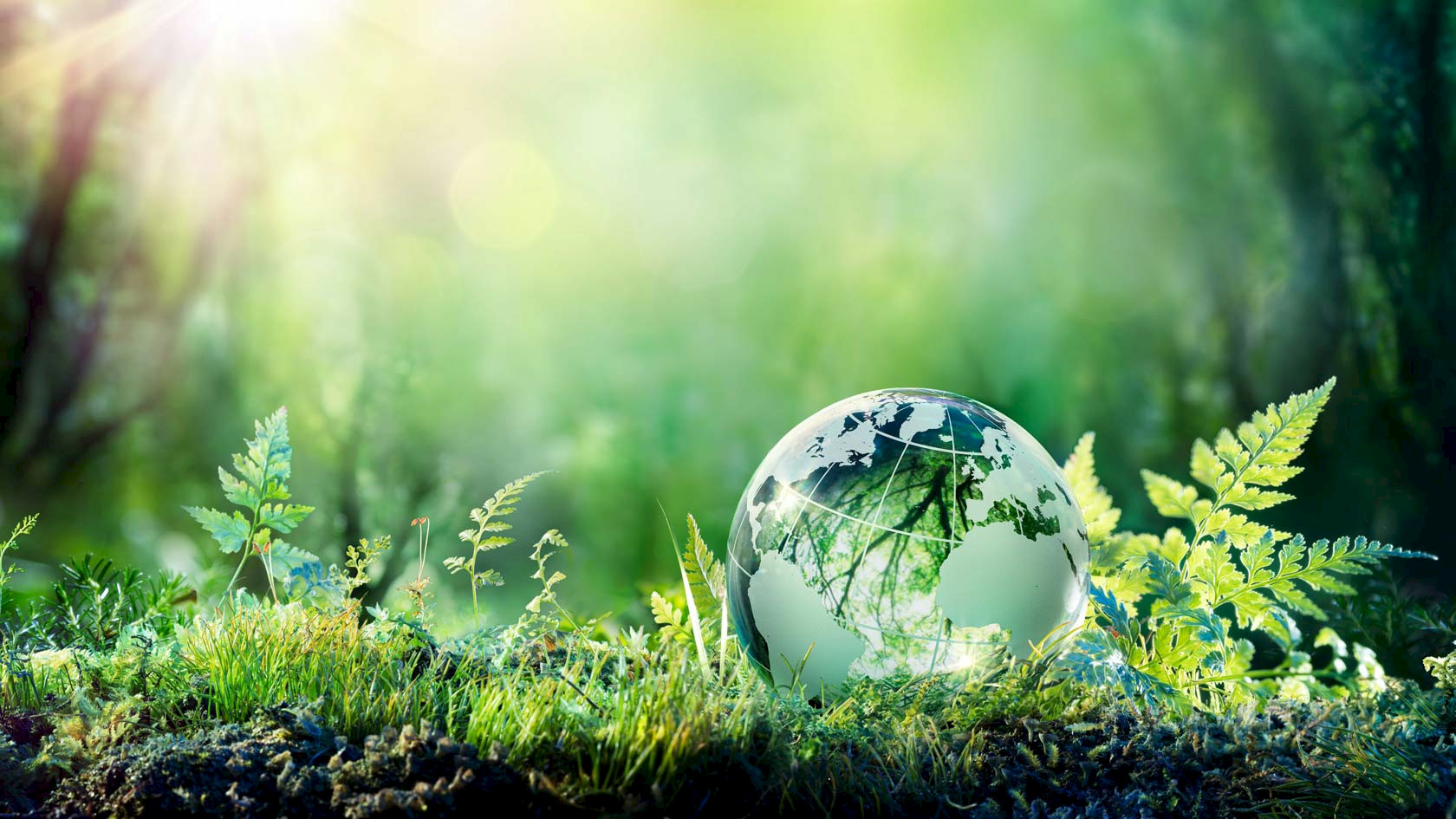 ITM Green Way – Nachhaltigkeit