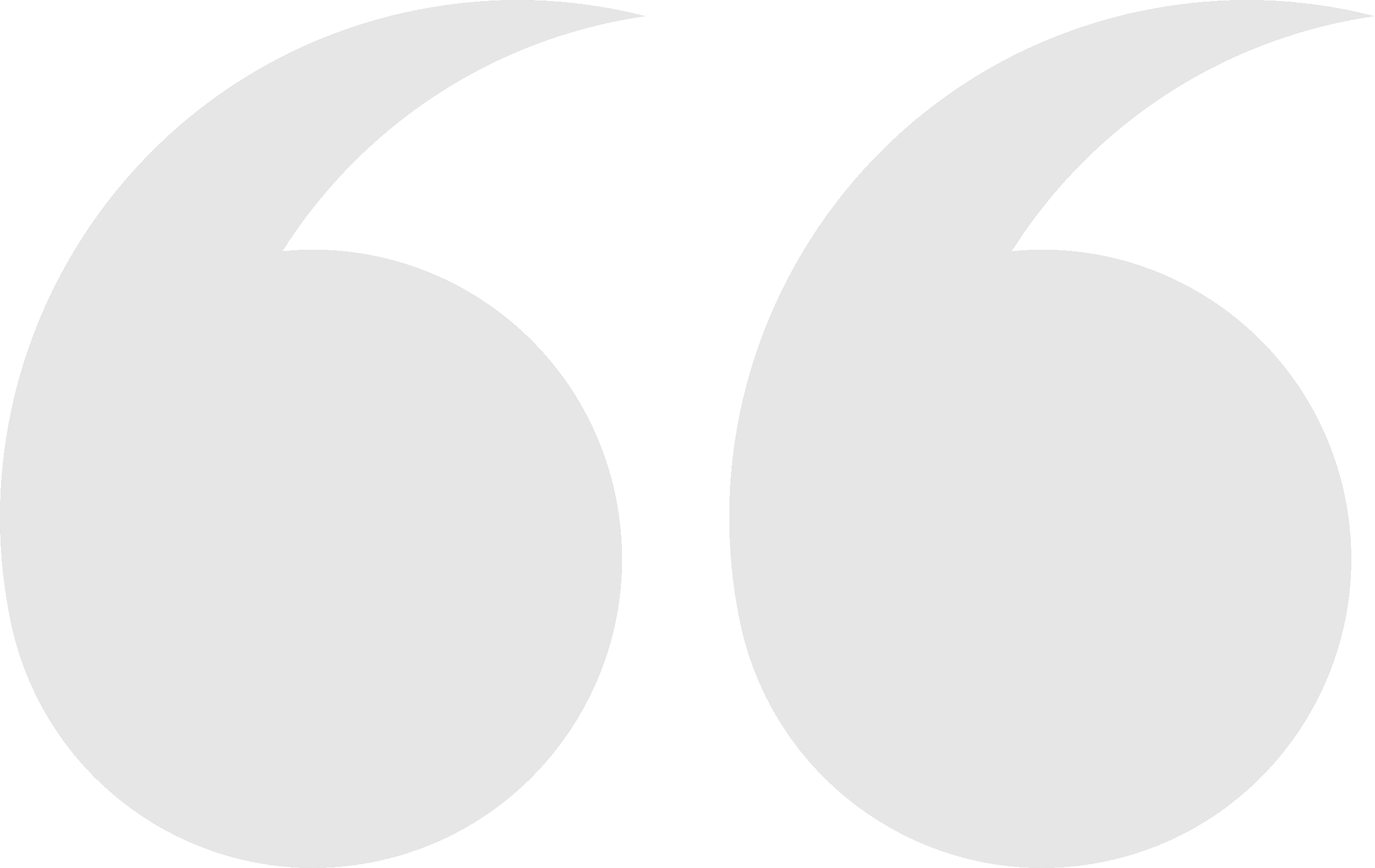 Leistungen: Gutachten, Assessments, Schulungen