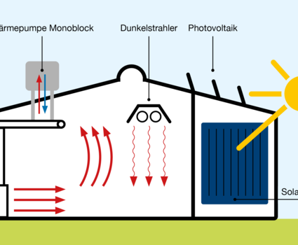 Grafik: Hallenklima & Wärmeverteilung