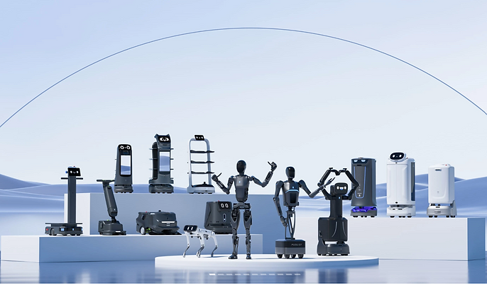 Produktübersicht PUDU Robotics