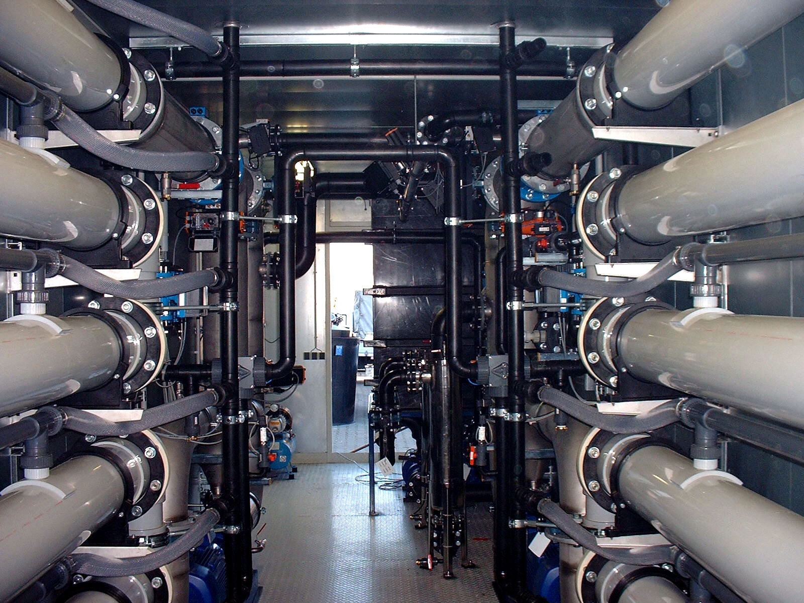Container plant component