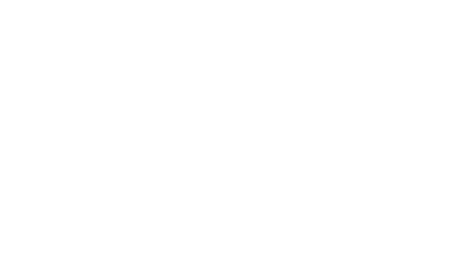 Helko Werk Logo