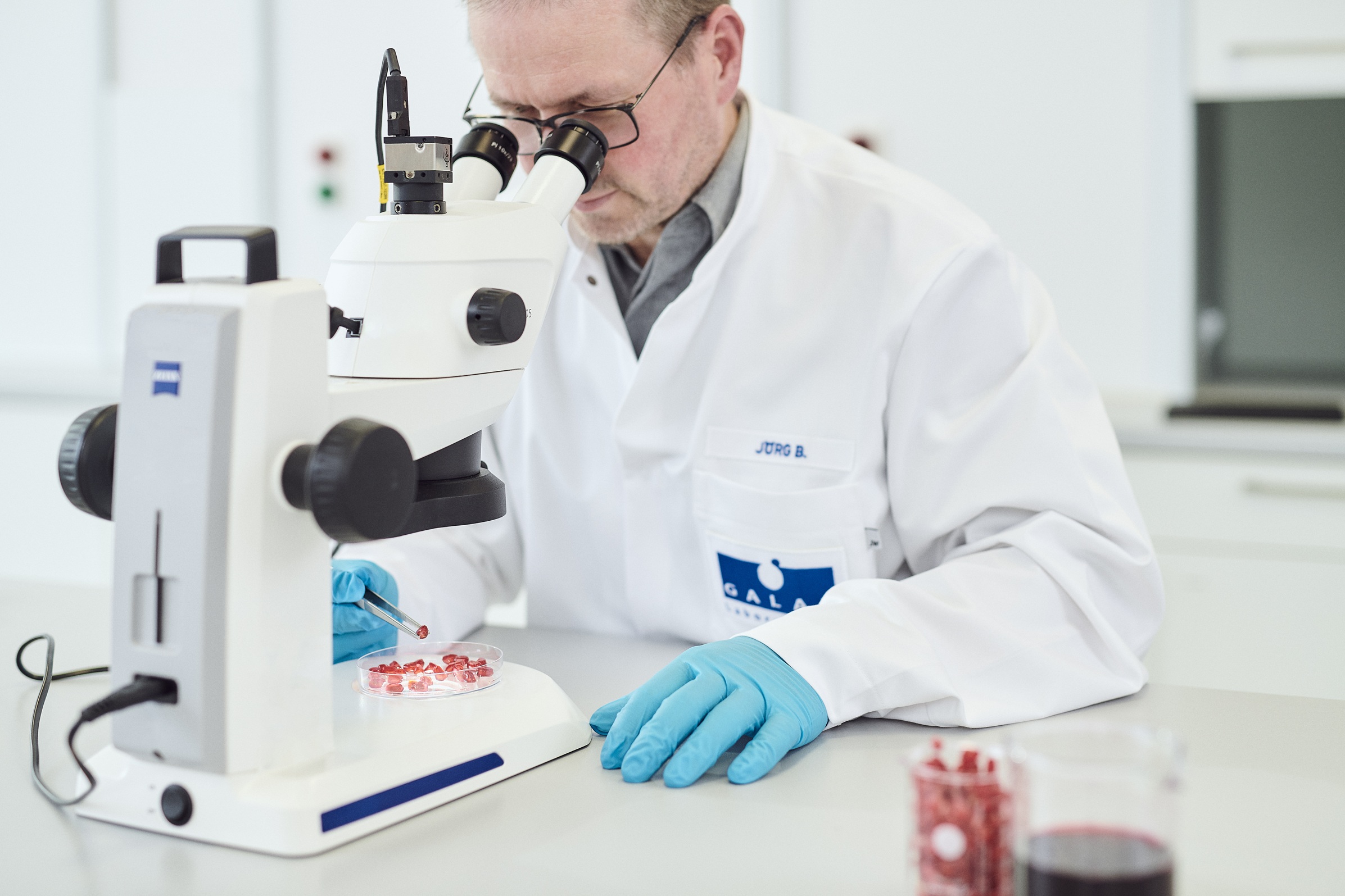 Analytik im GALAB-Labor