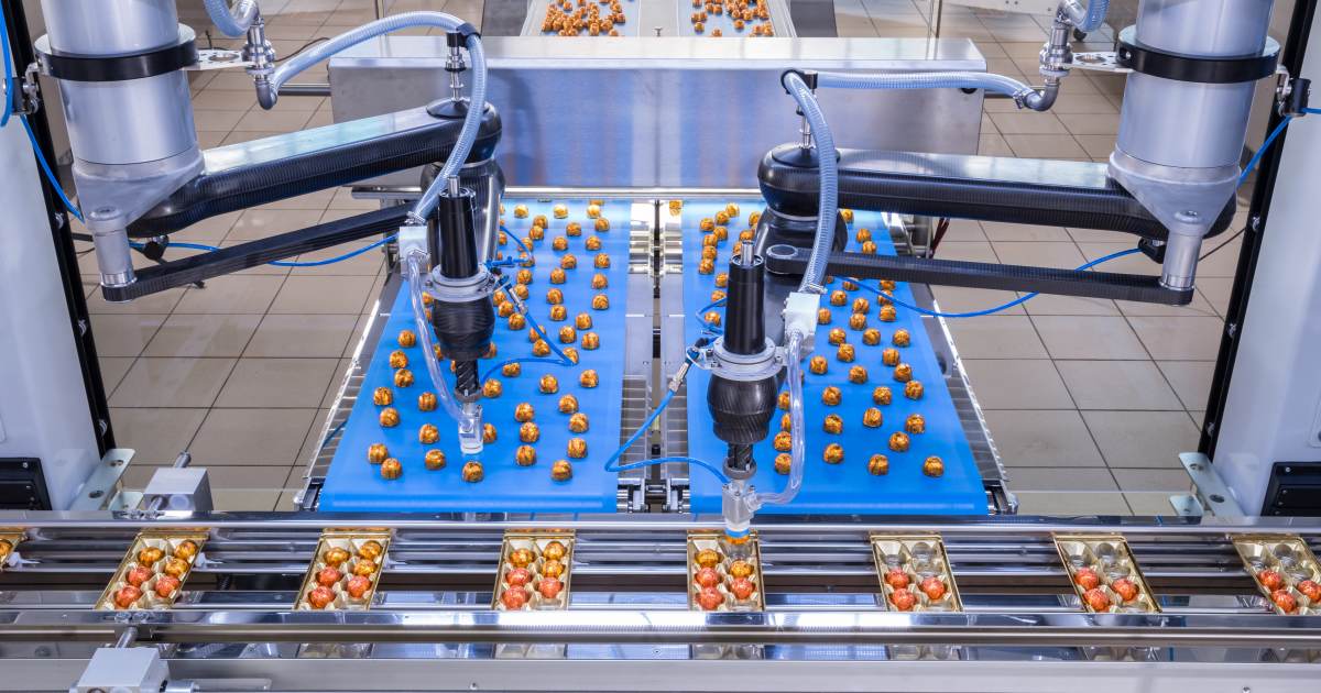 Verpackungsanlage in Kundenproduktion